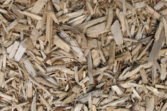 biomass boilers Wood
